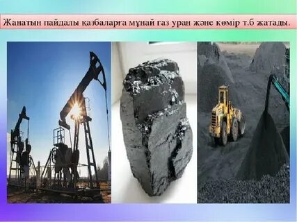 Пайдалы қазбалар
