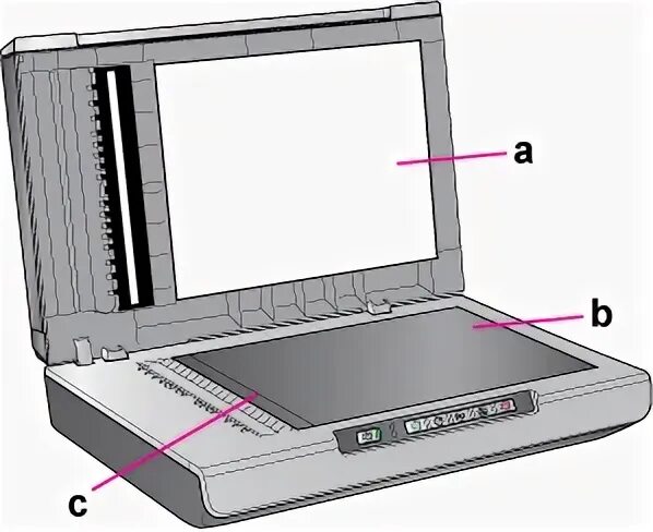 элемент сканирование