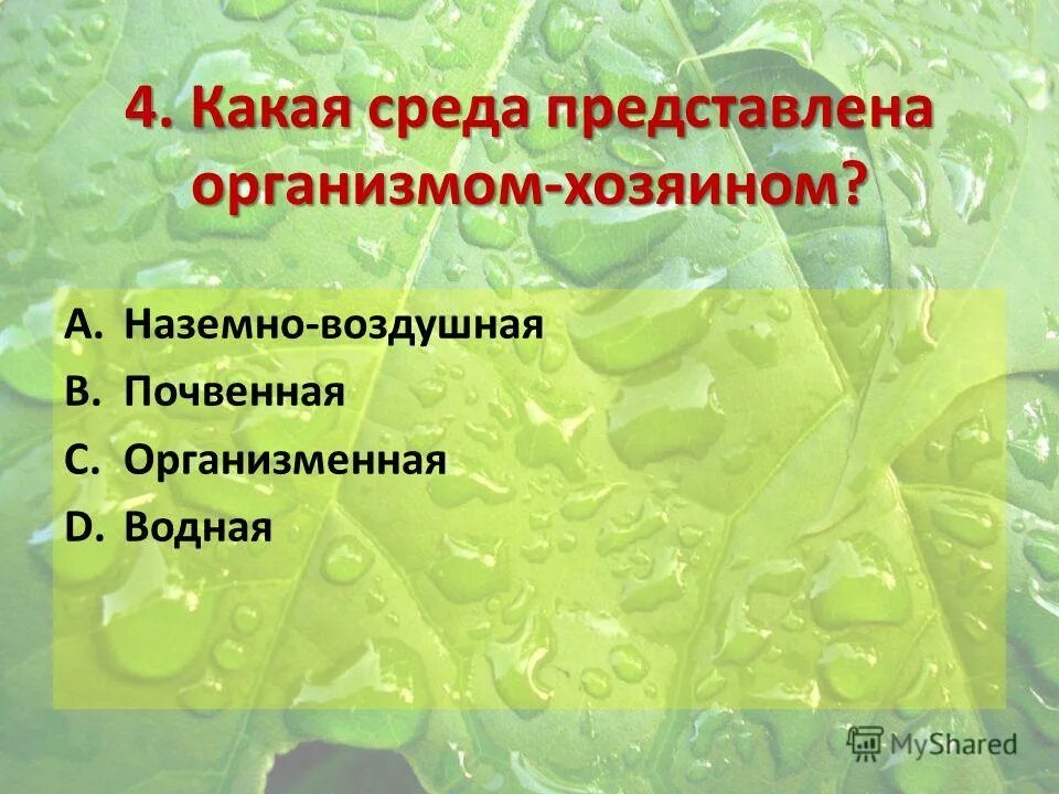 какая среда представлена организмом-хозяином ответ. наземно-воздушная среда. наземно-воздушная среда обитания. водоросли в наземно воздушной среде. наземно воздушная среда презентация.