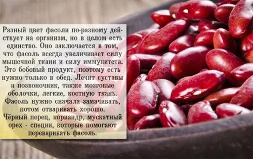 Польза фасоли для мужчин. Витамины в фасоли красной. Калорий в фасоли красной. Фасоль красная калорийность. Фасоль польза.