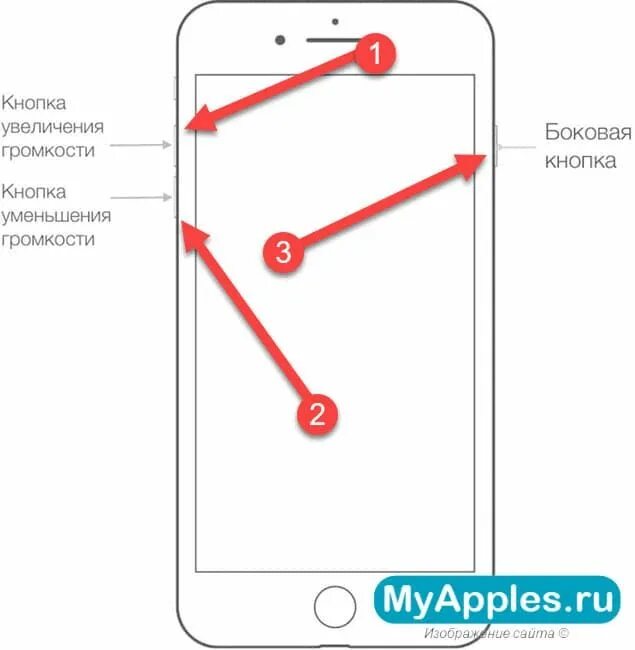 Как сделать на айфоне боковую кнопку. Кнопка сбоку на айфоне 11. iphone 11 переключатель сбоку. айфон 8 сбоку кнопка. кнопка увеличения громкости на телефоне.