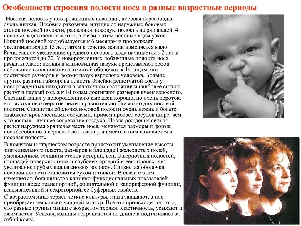 Опиши своих близких в разном возрасте. Сочинение моя семья. Устно опиши взрослых в разном возрасте. Опиши своих близких в разном возрасте. Возрастные этапы жизни человека.