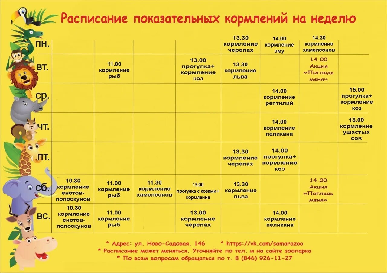 Зоопарк расписание кормлений