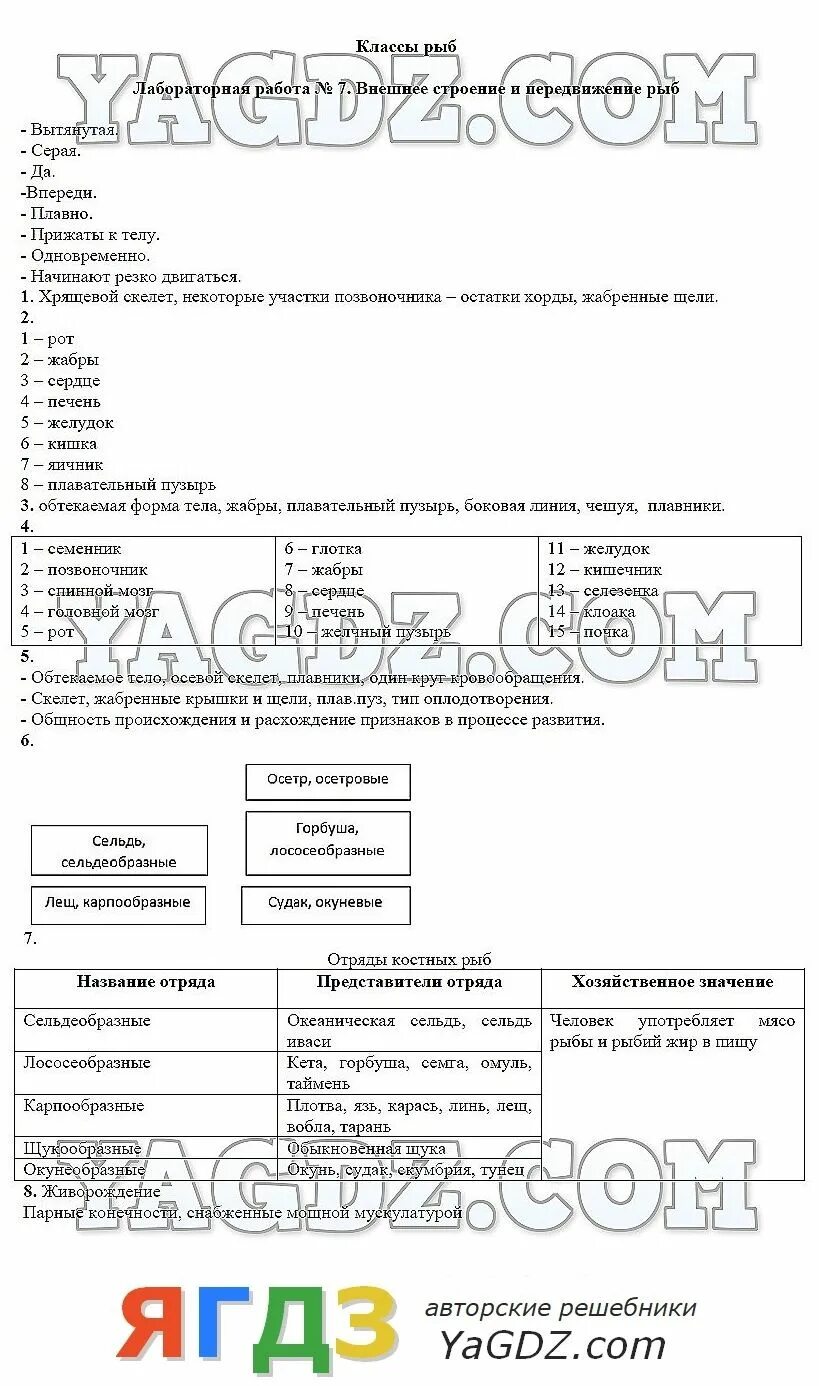 Биология 7 класс лабораторная работа. Лабораторная работа по биологии 7 класс рыбы. Лабораторная работа изучение внешнего строения рыбы. Лабораторная работа по биологии изучение строения и передвижения рыб. Передвижение рыб 7 класс биология лабораторная работа