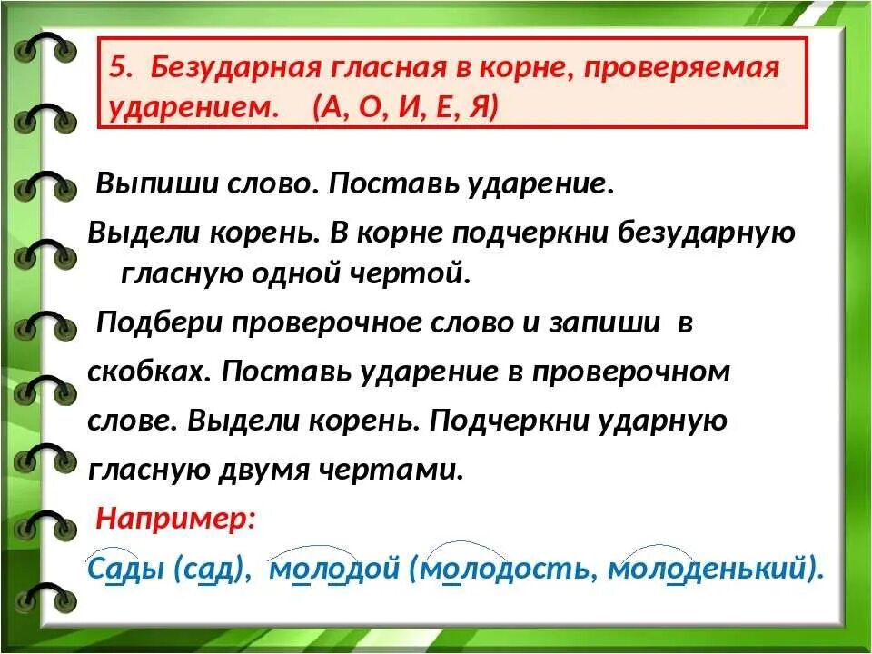 Должен содержать хотя бы одну гласную. Безударные гласные в корне слова. Безударная гласная в корне. Выделение безударной гласной в корне. Безударная гласная в корне проверяемая ударением.