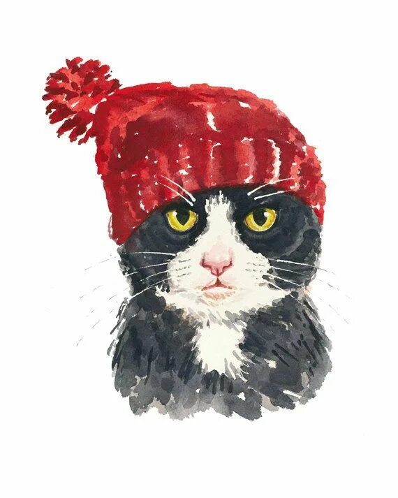 Котик в новогодней шапке рисунок. Кот в шапке. нарисованные котики в шапочках. рисование котик в шапке. арты коты в шапках.