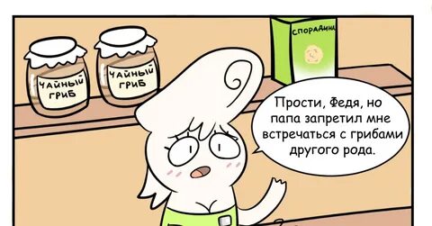 Феде или феди