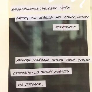Они уже полезли через стену вдруг гуси