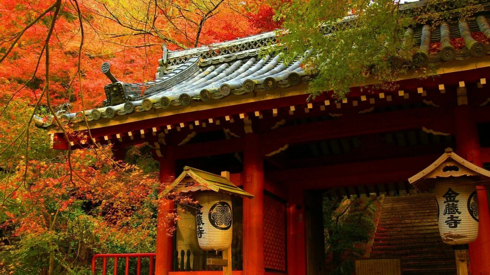 Золотой храм в Киото. Момидзи в Японии. Япония осенью. Осень в Японии. Китай обои на стол