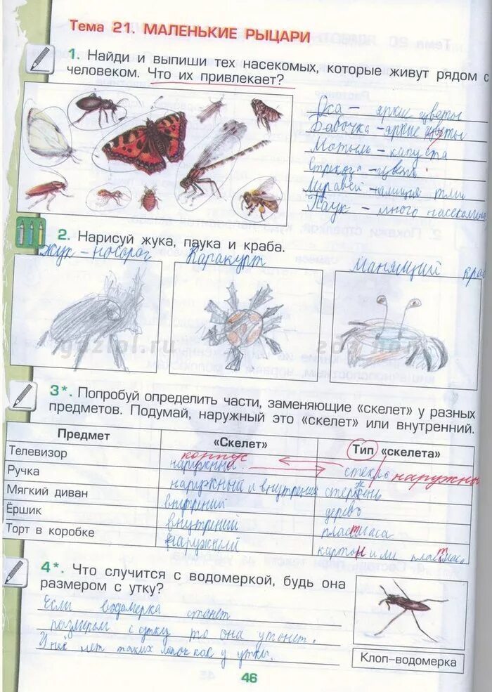 Окружающий мир 3 класс страница 46 50. Гдз окружающий мир 3 класс рабочая тетрадь стр 46. гдз по окружающему миру 3 класс рабочая тетрадь 1 часть стр 46. гдз по окружающему миру 3 класс 1 часть рабочая тетрадь страница 46. окружающий мир рабочая тетрадь часть класс 3 стр 46.