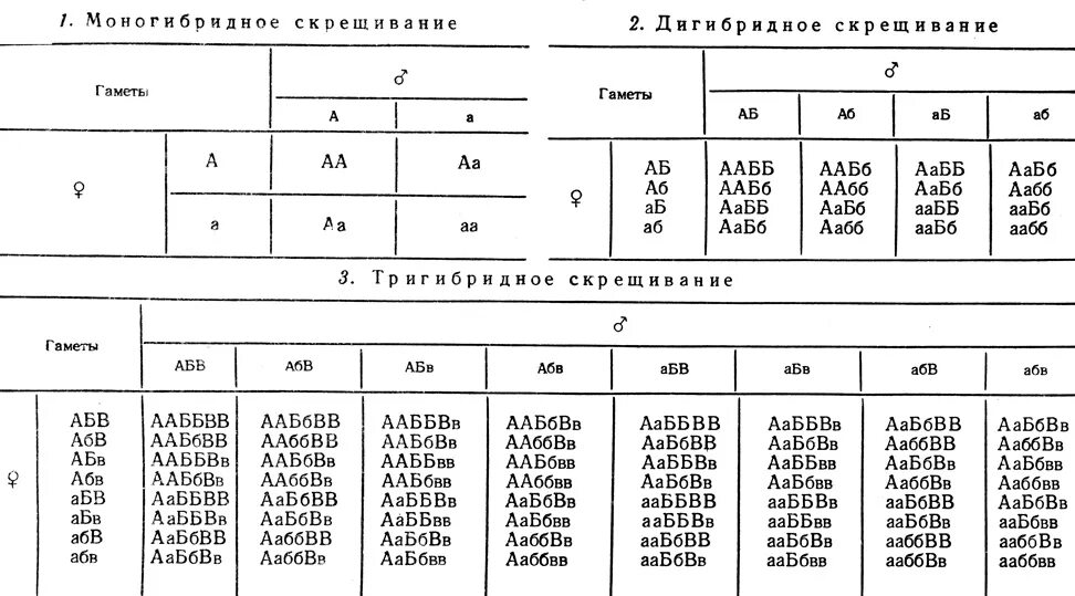 Таблица тригибридного скрещивания. Генотипы скрещиваемых особей таблица. Решётка Пеннета для тригибридного. Тригибридное скрещивание решетка.