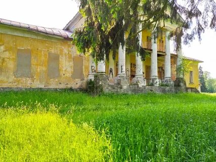 Гбуз мо центральная клиническая медное власово