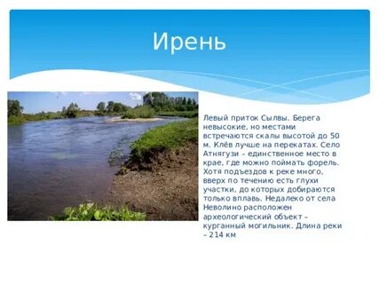 Что люди делают для охраны сылвы