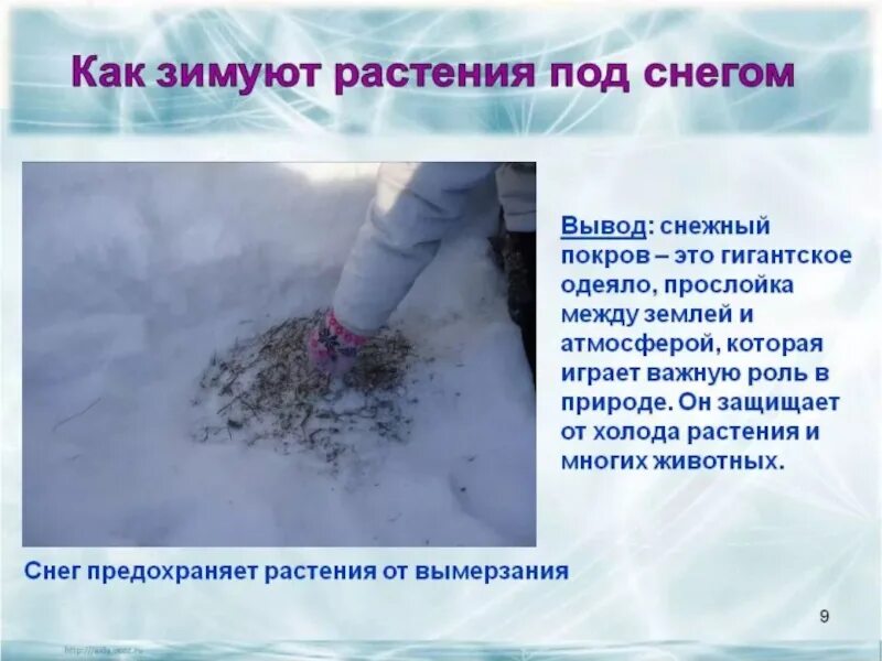 Почему зимний