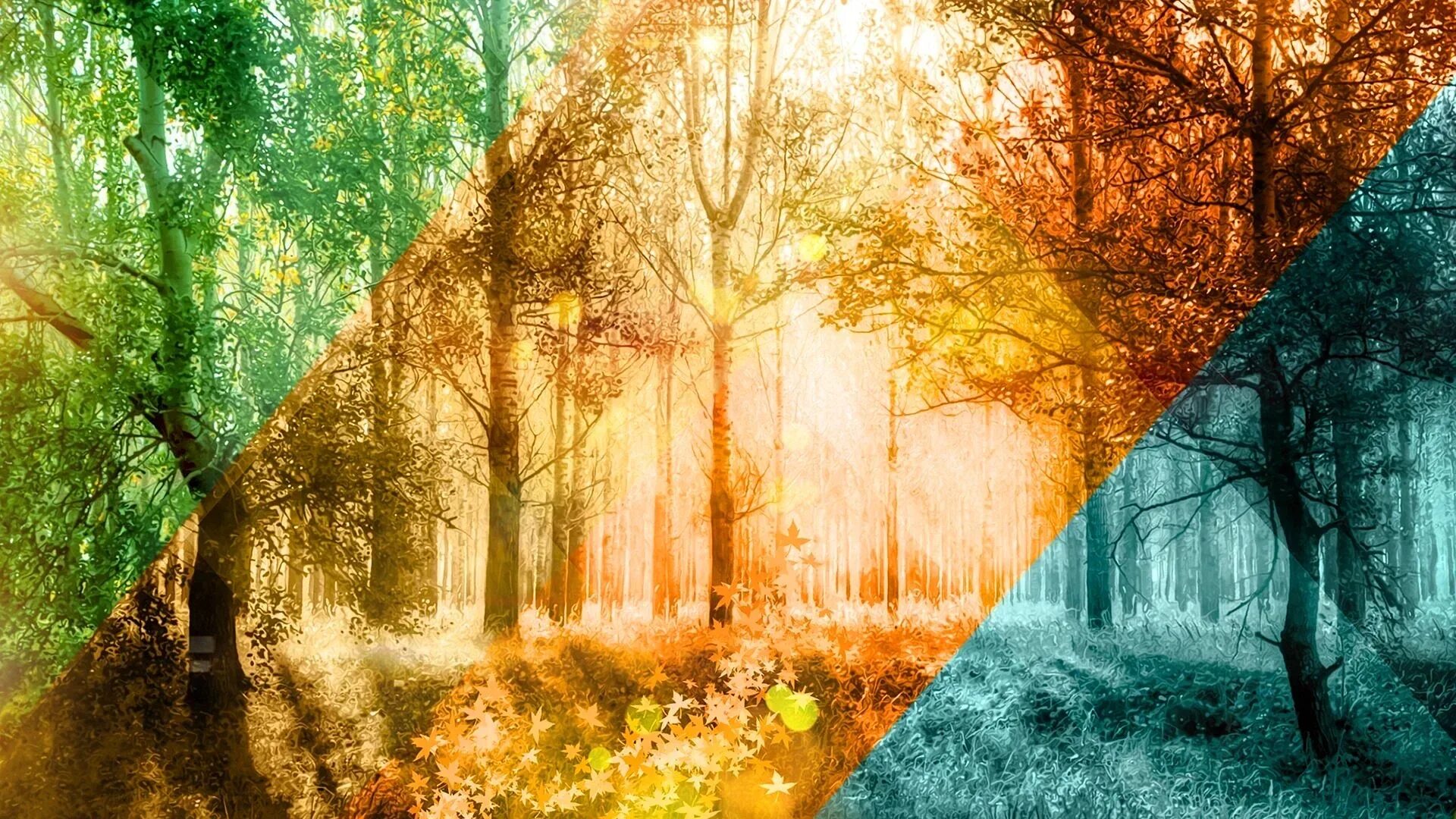 Лето зима и снова лето. Зима,весна,лето,осень. фон для календаря. фон времена года. фон 4 времени года.