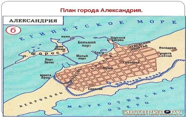 Александрия город александров. Карта древней Александрии египетской. План города Александрии египетской. Александрия Египетская в древности карта. Александрия древний город на карте.