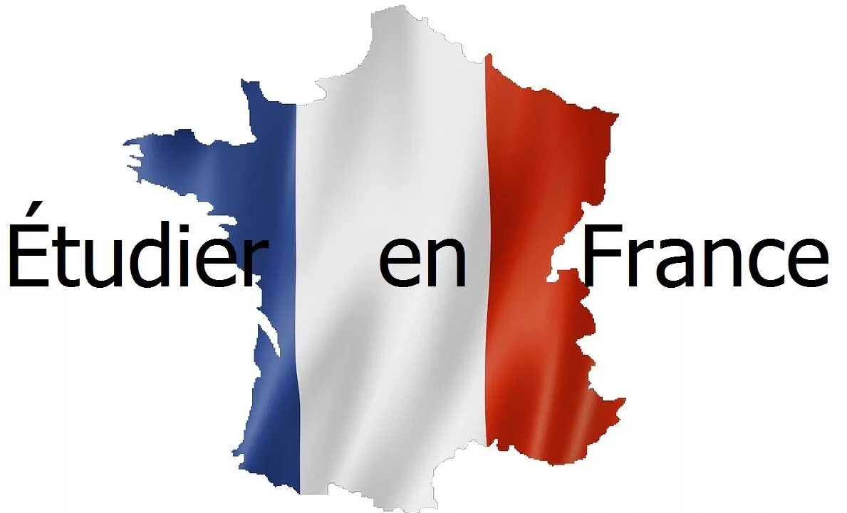 En french. Enseignement en France презентация. Ens Франция. La systeme d'Education en France во Франции. Ecole en France презентация 6 класс.