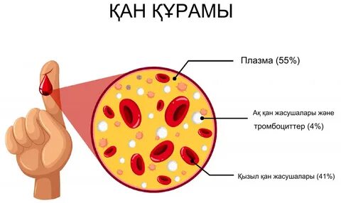 Днепродзержинскідегі жезөкшелермен жыныстық қатынас
