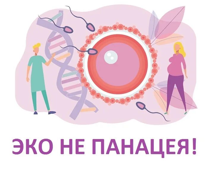 Репродукция человека алматы. Репродукция человека алматы