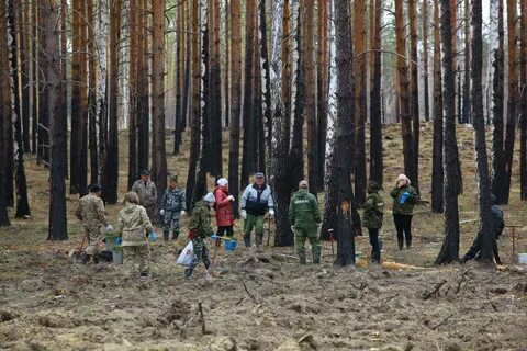 Челябинское лесничество