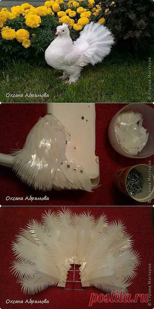 Королевский голубь. Голубь из пластиковой бутылки. Голубь из пластиковых бутылок. Голубь из пластиковых бутылок. Голубь из пластиковых бутылок.