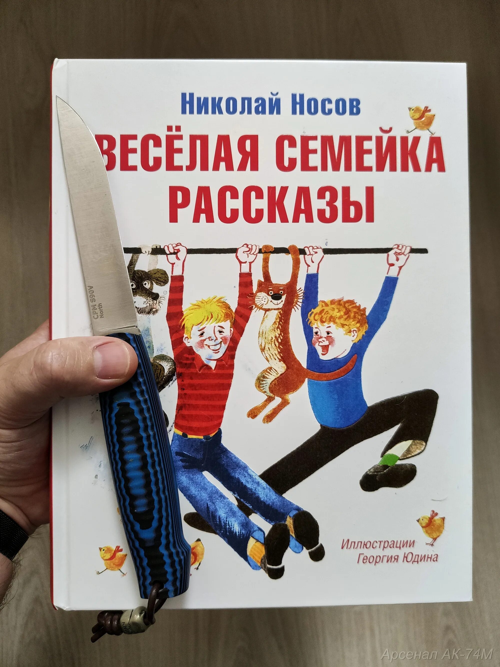 Носов веселая семейка. Веселая семейка отзыв