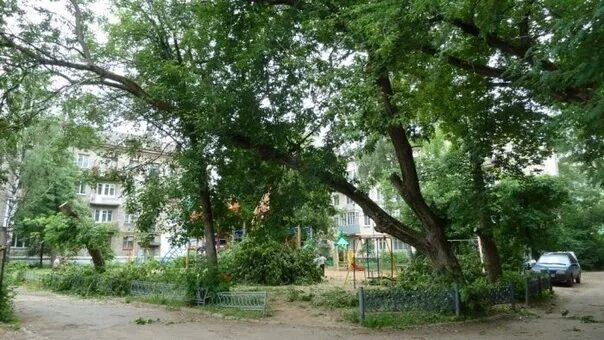 Во дворе исследовательского центра растет девять деревьев. Деревья растущие во дворах. деревья которые растут во дворе. дуб во дворе. деревья во дворе названия.