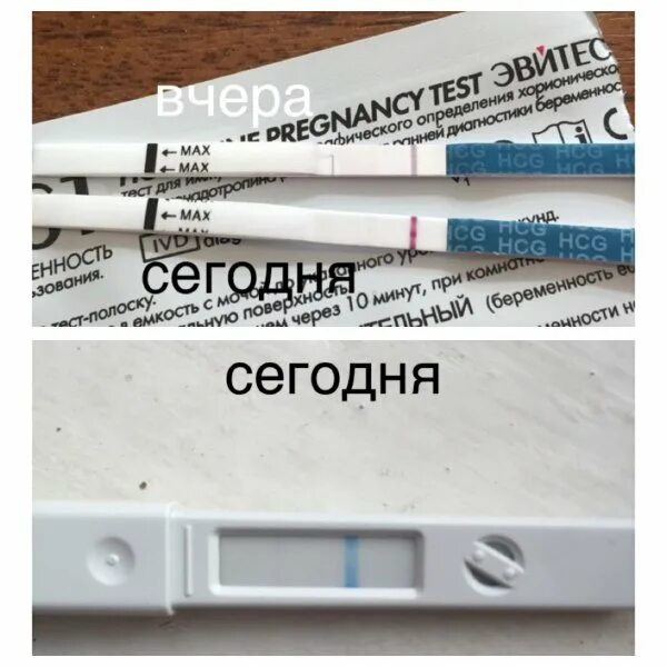 Сделать тест жирным. Тест на беременность до задержки. тест на беременность после задержки. тесты на беременность по дням. тесты после полового акта.
