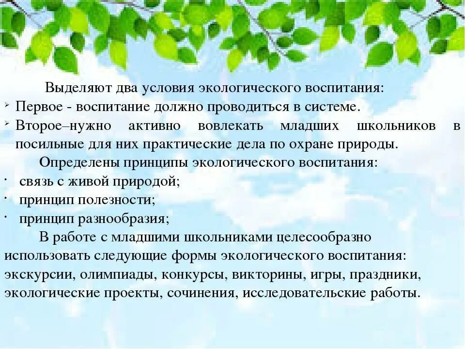 Экологическая воспитание это школьника. Экологическое воспитание младших школьников. Экологическое образование дошкольников. Экологическое воспитание это в педагогике. Создание условий для экологического воспитания детей