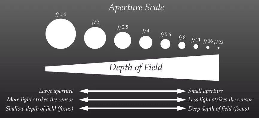 Диафрагма фотоаппарата глубина резкости. Диафрагма f 1.4. Глубина резкости. Глубина резкости в фотоаппарате. Глубина резкости в мире нет