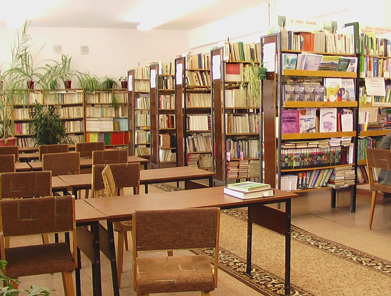 Интерьер школьной библиотеки. Поведение в школьной библиотеке. Используя школьную библиотеку. Книгохранилище в школьной библиотеке. Школьная библиотека.