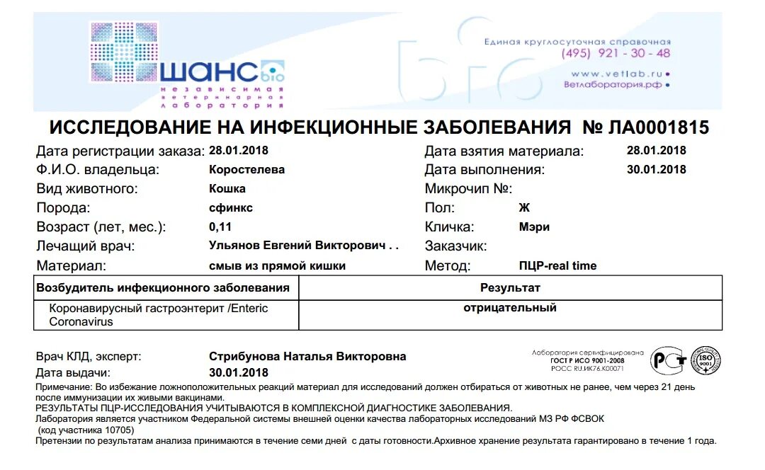 Сколько делается тест пцр на коронавирус. Анализ пцр на коронавирус образец. пцр тест на коронавирус. результат теста на коронавирус. отрицательный результат на коронавирус.