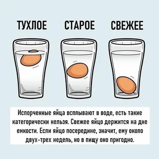 Почему яйцо всплывает наверх
