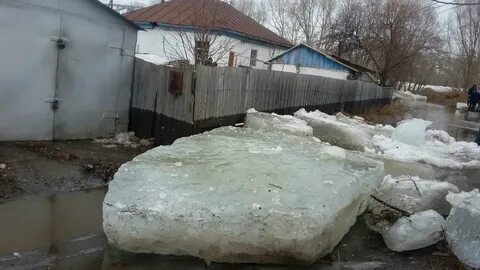 Погода в шемонаихе рп5
