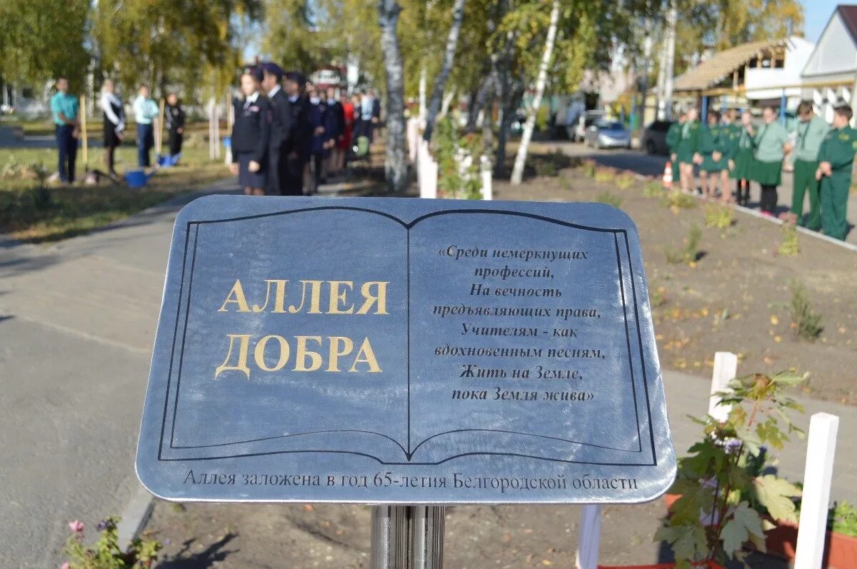 Аллея добра. Добрые новости. Ано аллея доброты. Акция по высадке цветов. Аллея добра.