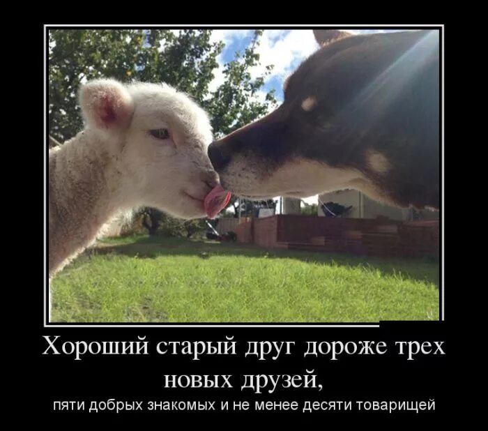 Лучше предыдущего