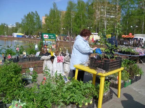 Сад и огород ижевск. Сад и огород ижевск. Снт италмас ижевск. Снт свет ижевск. Сад и огород ижевск.