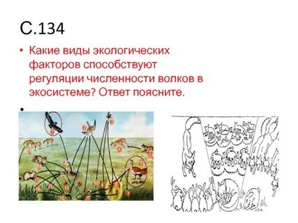 Регуляция экосистемы
