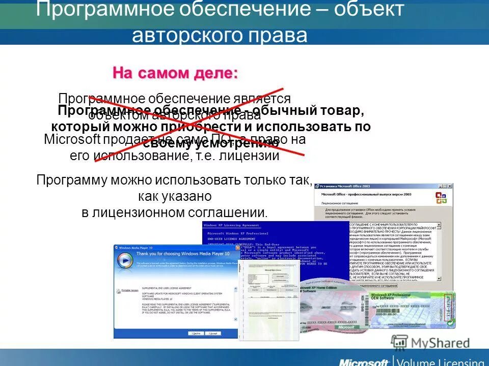 Исключительное право на программный продукт. Закупка программного обеспечения.