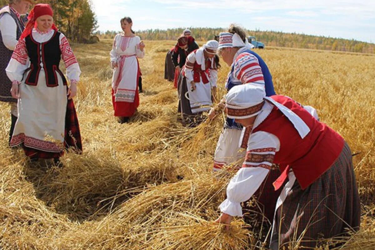 Традиционные занятия русского народа. Осенние обряды. Праздник сбора урожая. Русский обряд осенний. Белорус в поле.