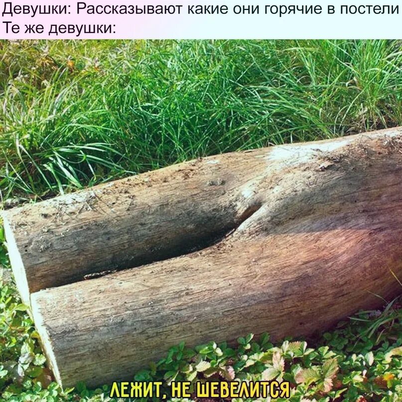 Как не быть бревном в постели
