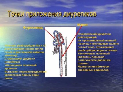 Почечные диуретики