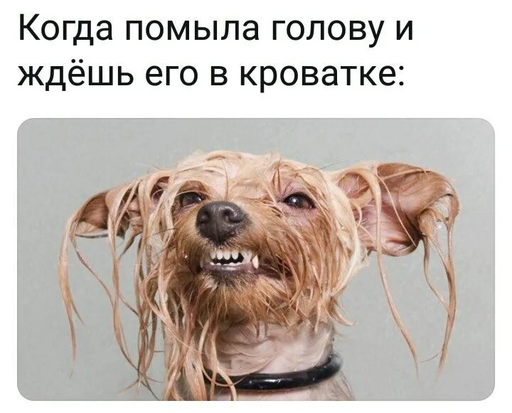 Схожу с ума прикольные. Схожу с ума. схожу с ума картинки. я сошла с ума. я сошла с ума картинки прикольные.