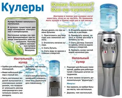 Как часто необходимо мыть кулеры