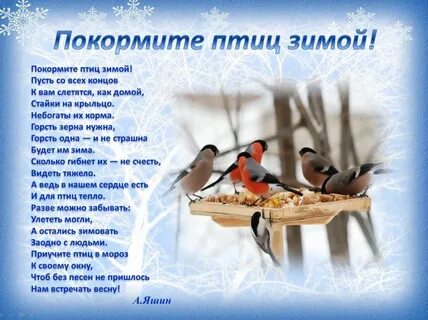Стихи про птиц зимой