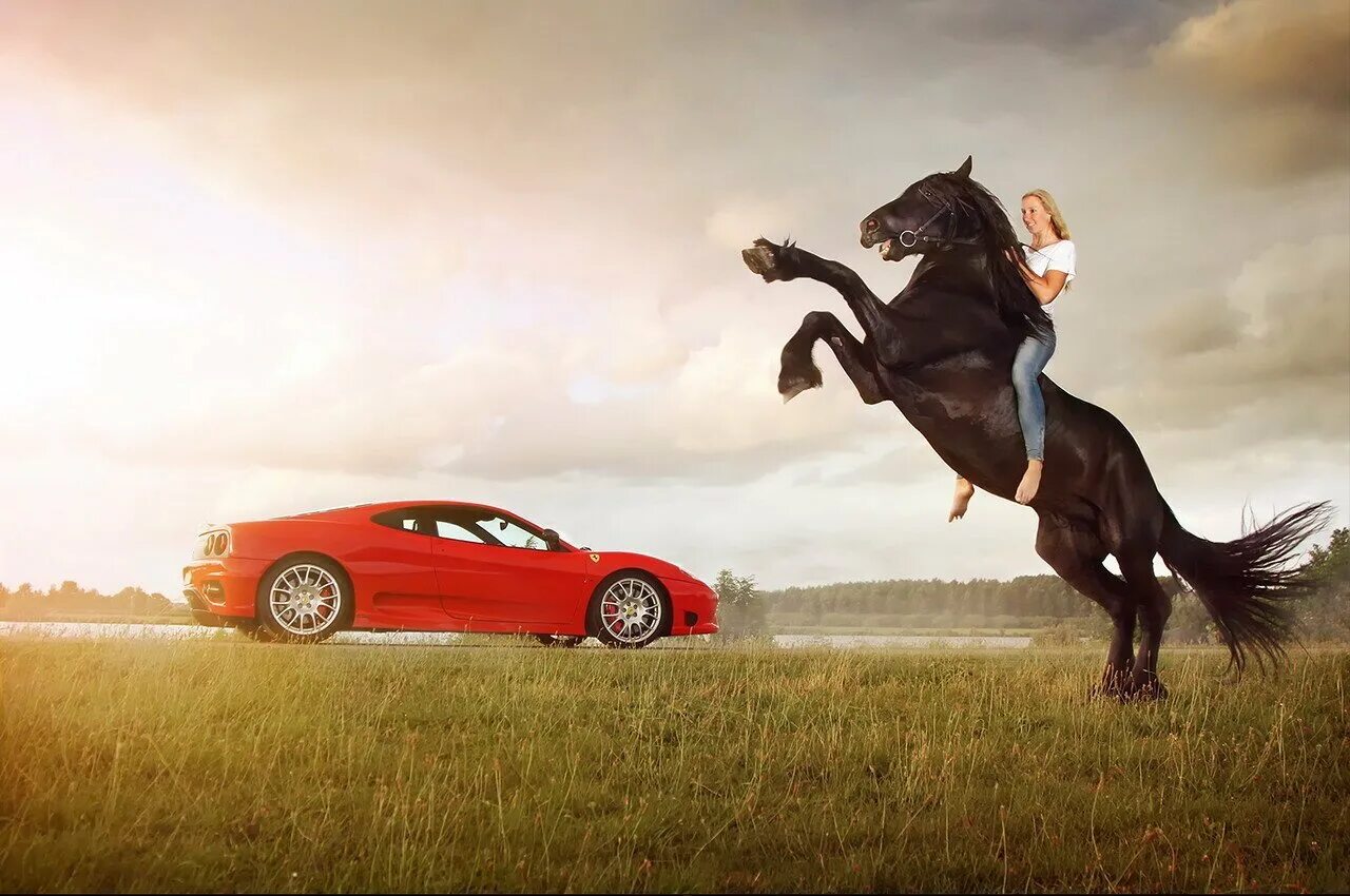 Конь какая машина. Мустанг машина и лошадь. Машина с лошадью. Фотосессия с лошадьми.
