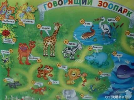 Изучить зоопарк