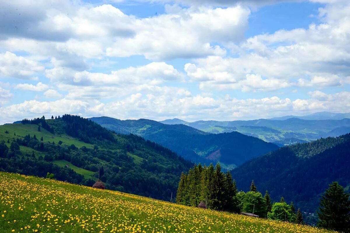 Горы закарпатья. Карпатские горы. Карпаты высота. Гора говерла украина. Карпаты высота.