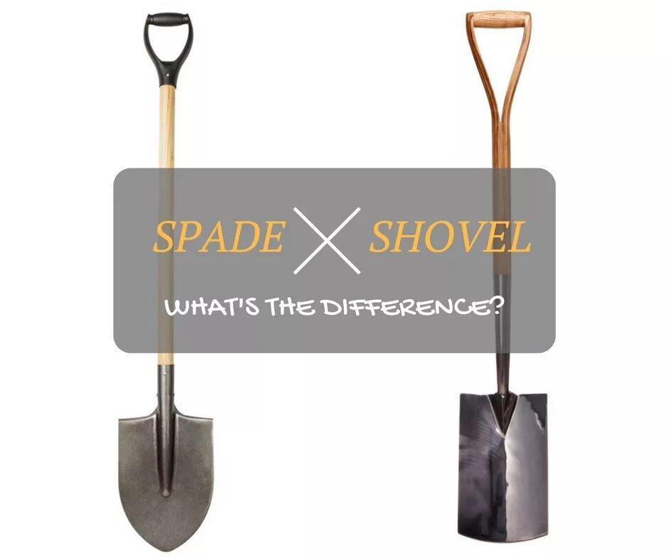 Shovel перевод. Shovel vs Spade. Spade and Shovel difference. Spade и Shovel отличия.