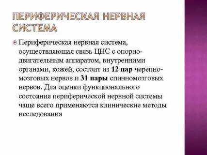 Исследование функционального состояния нервной системы
